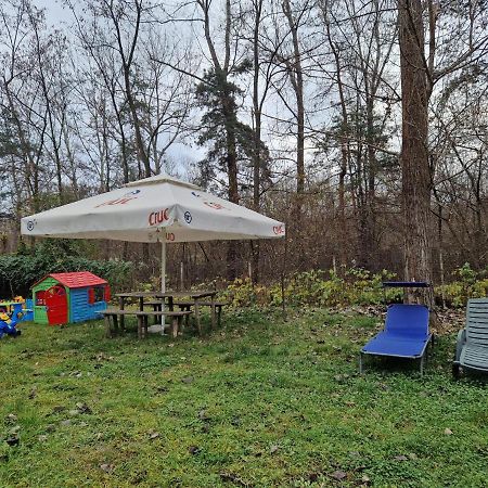 Pensiunea Carpe Diem Râmnicu Vâlcea Extérieur photo