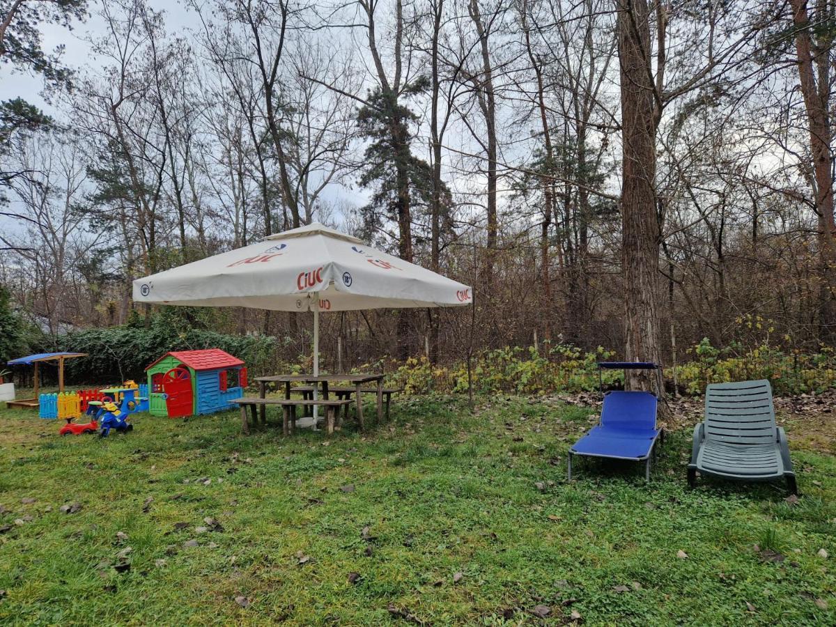 Pensiunea Carpe Diem Râmnicu Vâlcea Extérieur photo